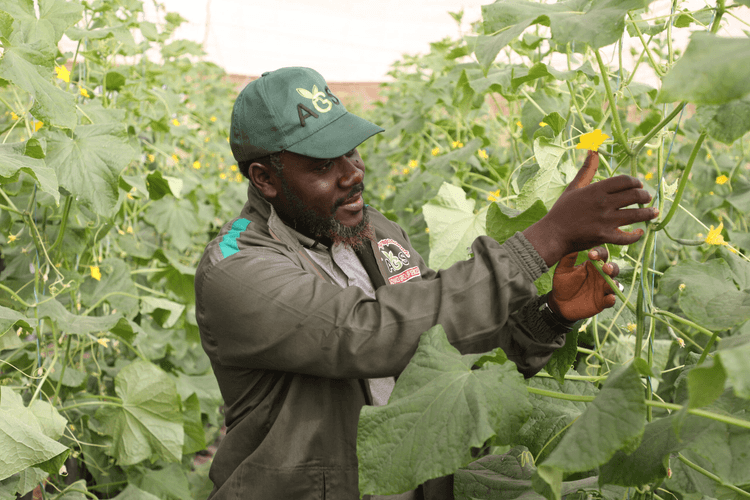 Formation pratique sur le terrain