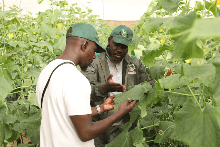 Expertise & Innovation