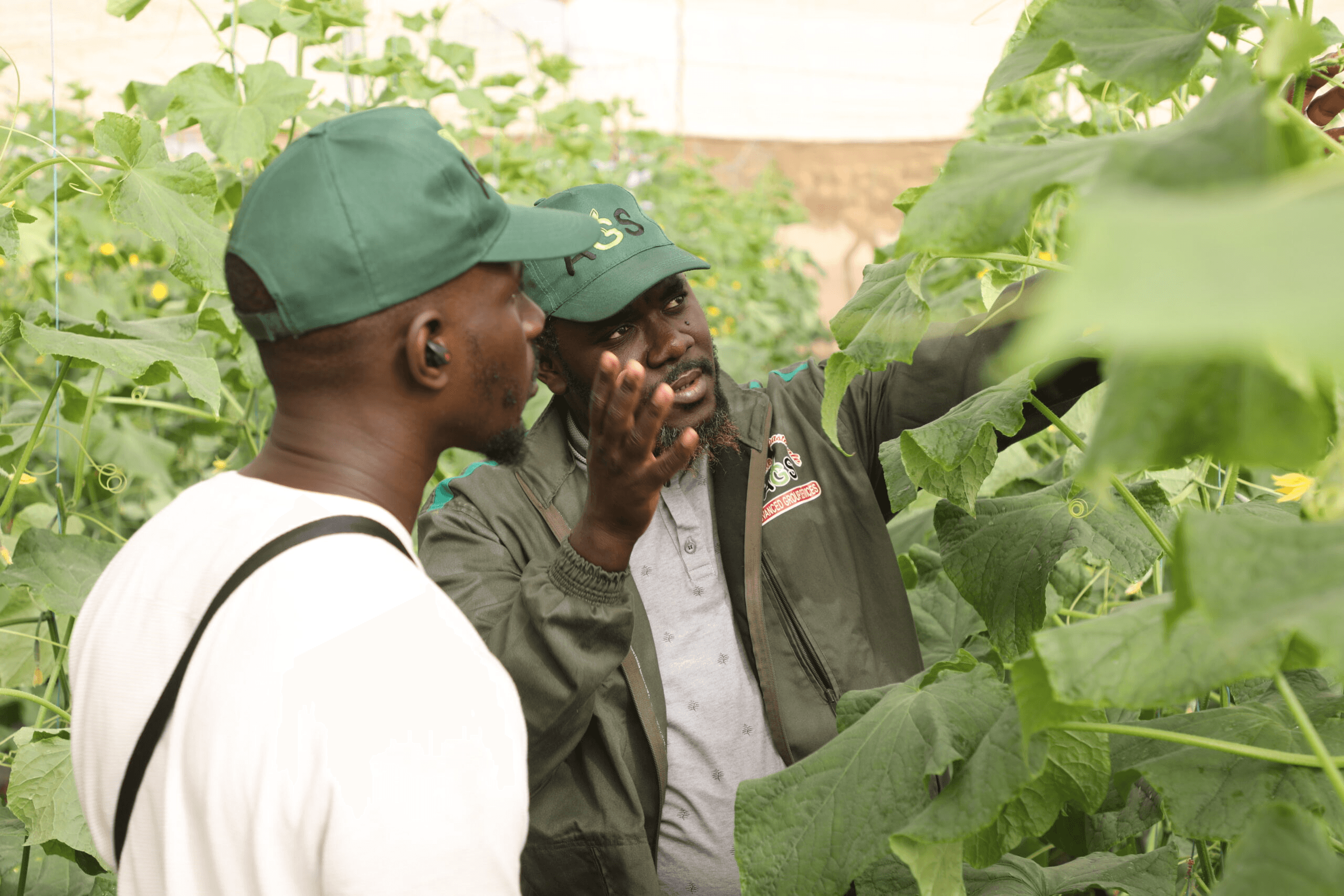 AGROPASTORAL GLOBALE FARMS - Image 8