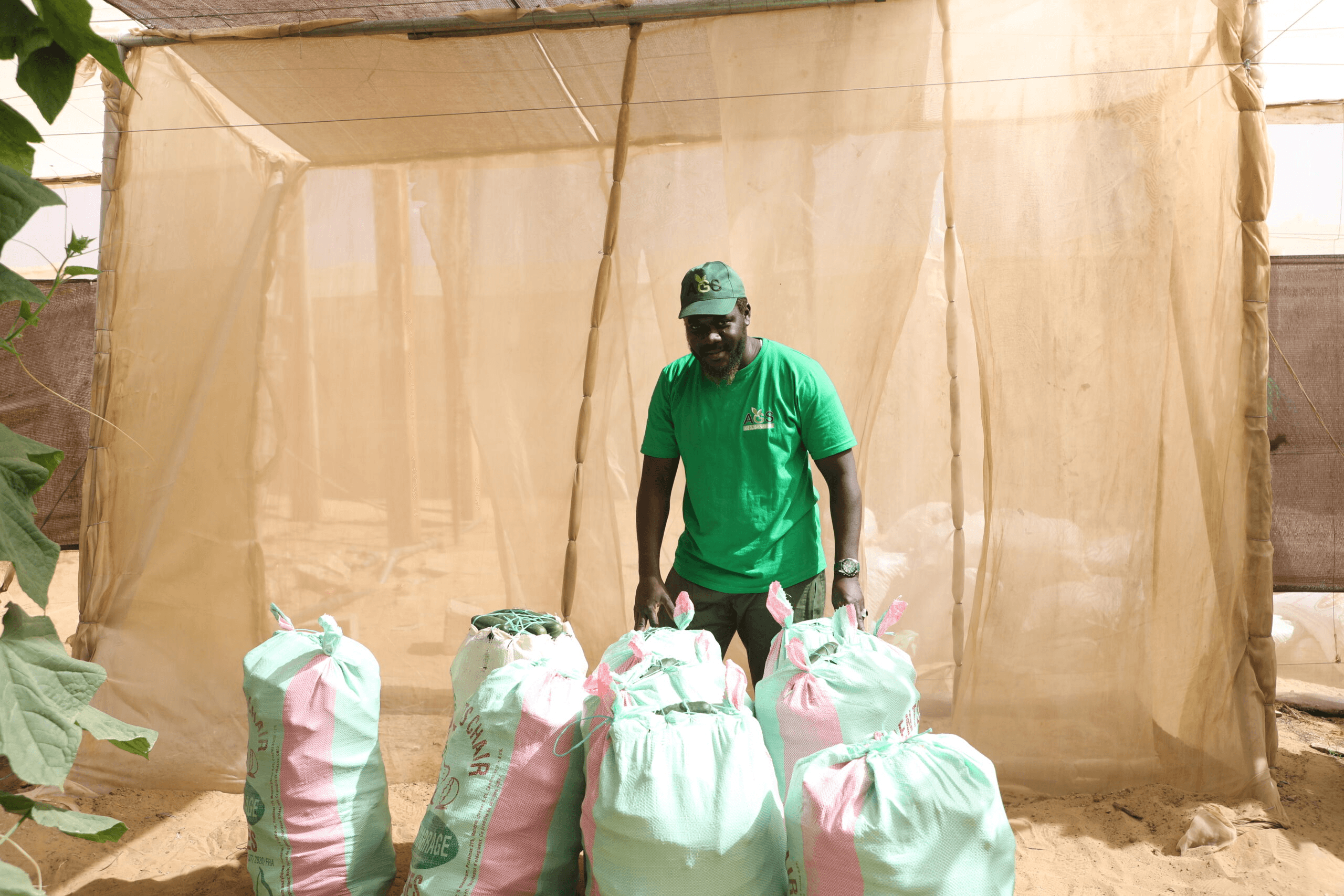 AGROPASTORAL GLOBALE FARMS - Image 6